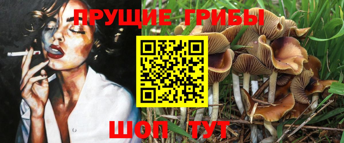 Галлюциногенные грибы ЛСД Гудермес
